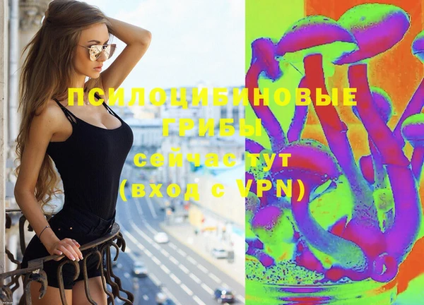 молекула духа Арсеньев