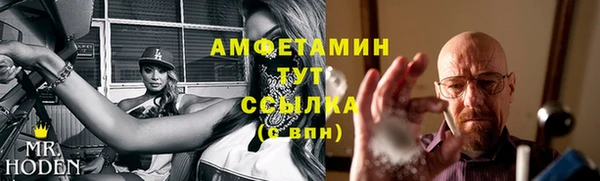 молекула духа Арсеньев