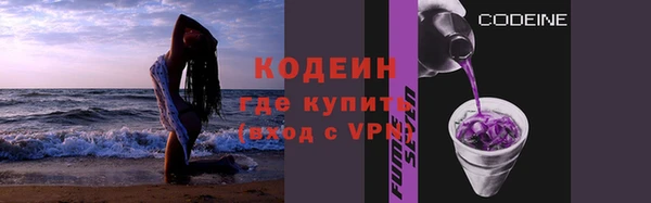 молекула духа Арсеньев
