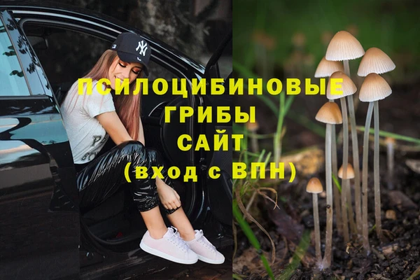 молекула духа Арсеньев